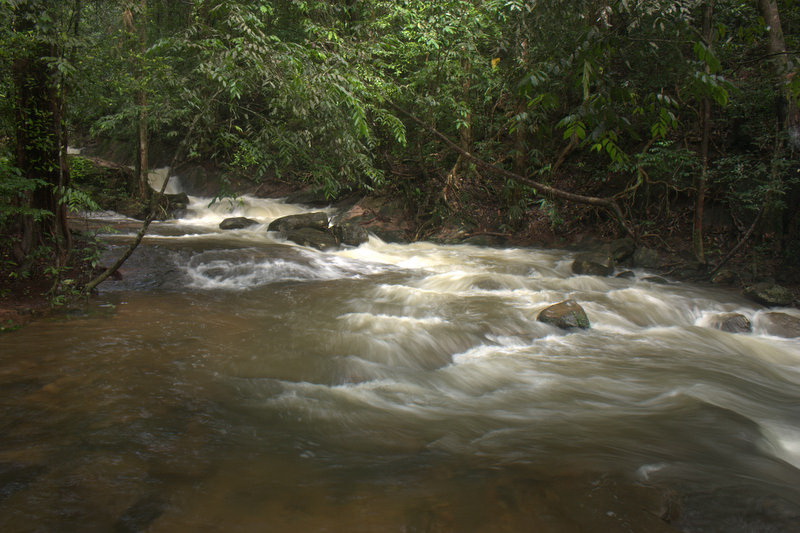 Sri Lanka, Sinharaja